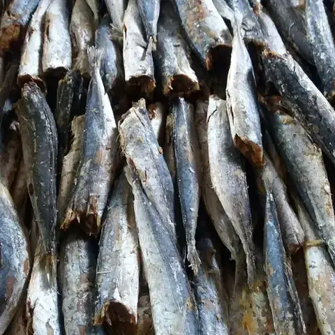 Hình Ảnh Cá Nục: Đặc Điểm Và Cách Nhận Biết Chi Tiết - Aquatech