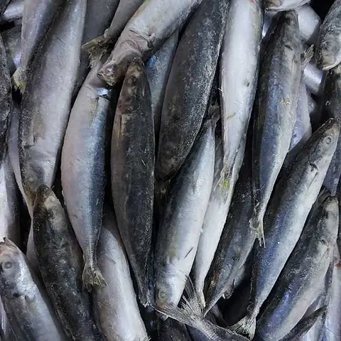 Bảo Quản Cá Nục Tươi Đúng Cách