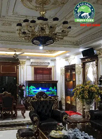 Hình Ảnh Bể Cá Rồng Đẹp Được Ưa Chuộng Nhất Năm 2023