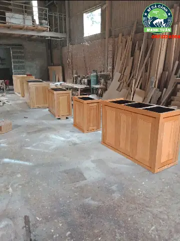 Hình Ảnh Bể Cá Rồng Đẹp Được Ưa Chuộng Nhất Năm 2023