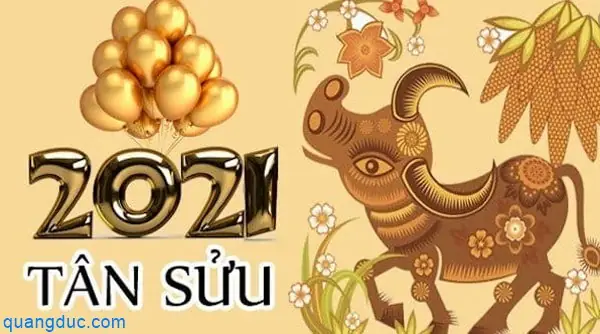 Hình Ảnh Cá Sửu Vàng: Ý Nghĩa, Biểu Tượng Và Những Điều Bạn Cần Biết