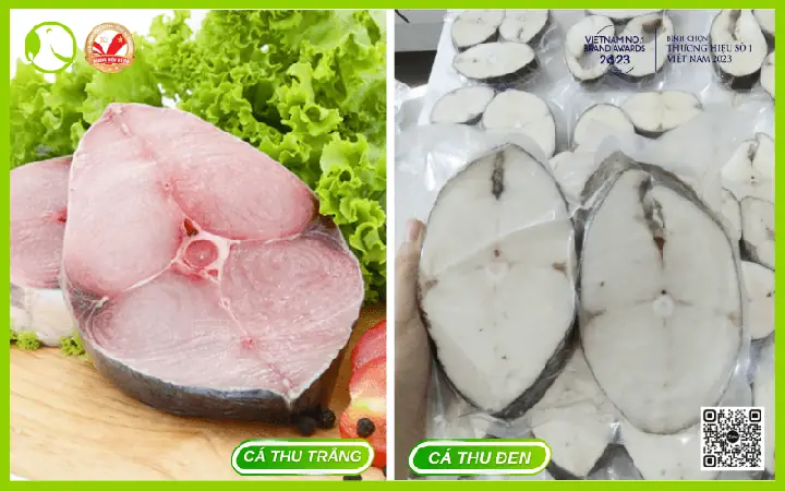 Cá Thu Trắng Và Cá Thu Đen: Loại Nào Ngon Hơn?