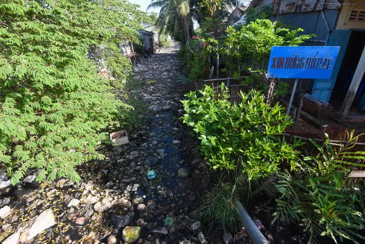 Con Số Và Hậu Quả: Gánh Nặng Cho Đại Dương