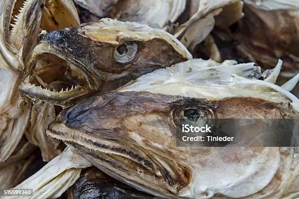 Hình Ảnh Cá Tuyết: Đặc Điểm, Môi Trường Sống Và Quá Trình Bảo Tồn