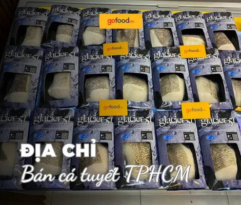 Hình Anh Các Loài Cá Nước Mặn