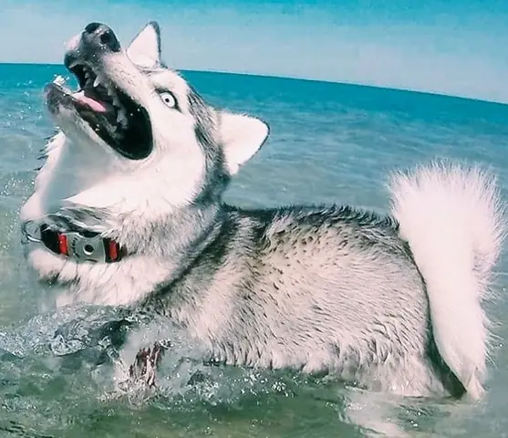 Kiểm Tra Sức Khỏe Định Kỳ