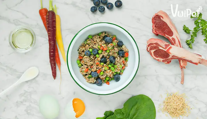 Tổng Hợp Cách Nuôi Chó Phốc Sóc