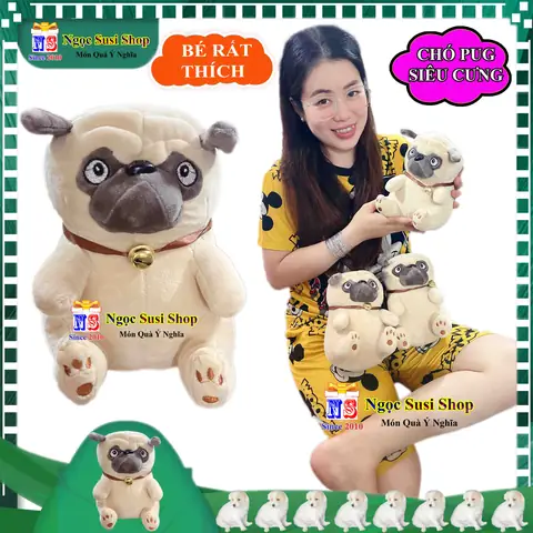 Hình Ảnh Cho Hình Ảnh Chó Pug Dễ Thương:
