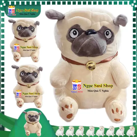 Hình Ảnh Cho Hình Ảnh Chó Pug Dễ Thương:
