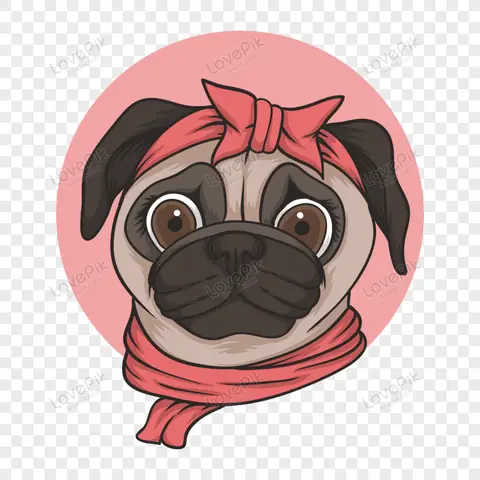 Hình Ảnh Cho Hình Ảnh Chó Pug Dễ Thương: