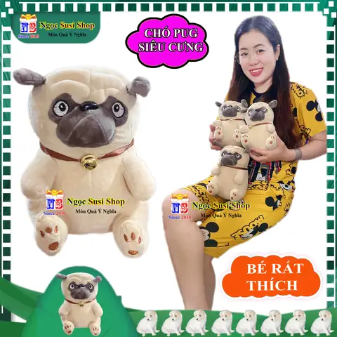 Hình Ảnh Cho Hình Ảnh Chó Pug Dễ Thương: