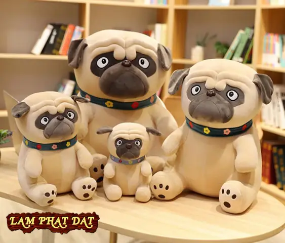 Hình Ảnh Cho Hình Ảnh Chó Pug Dễ Thương: