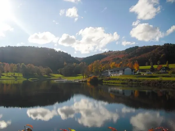 Hình Ảnh Con Cá Cảnh