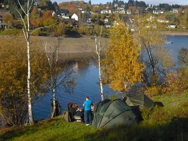 Hình Ảnh Con Cá Cảnh