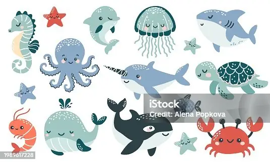 Hơn 880 Cá Mập Đồ Chơi Hình Minh Họa Ảnh, Hình Chụp & Hình ...