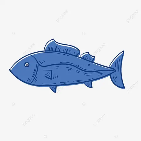 Hình Ảnh Con Cá Thu: Tổng Hợp Kiến Thức Về Loài Cá Biển Được Yêu Thích Hình Ảnh Con Cá Thu: Tổng Hợp Kiến Thức Về Loài Cá Biển Được Yêu Thích