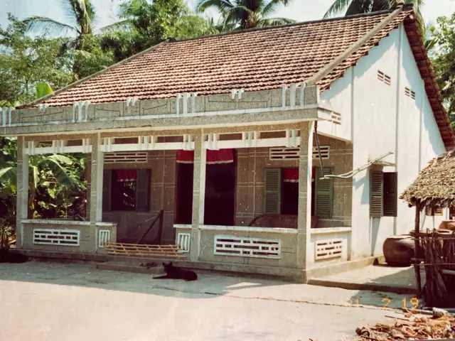 Hình Ảnh Con Cá Úc