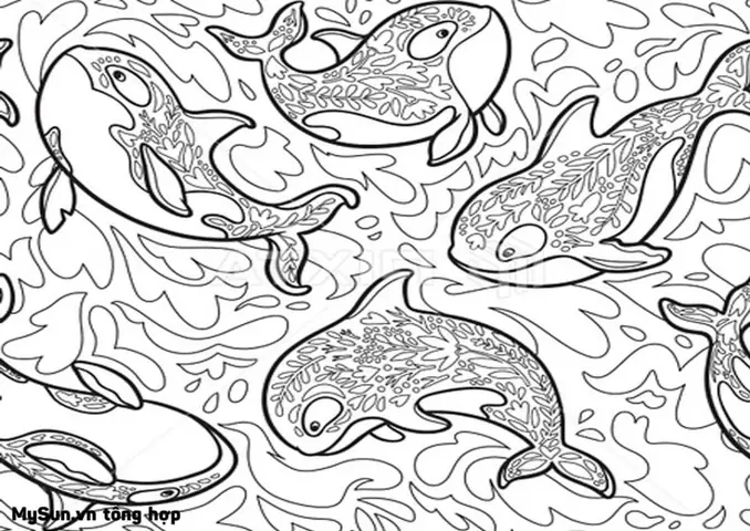 Cách Tải Tranh Tô Màu Hình Ảnh Con Cá Voi Đơn Giản