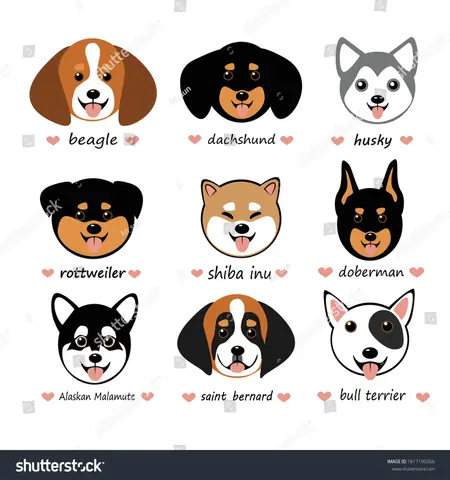 Bạn Đang Muốn Tìm Kiếm Hình Ảnh Về Con Chó Chibi Dễ Thương Phải Không? Bạn Đang Muốn Tìm Kiếm Hình Ảnh Về Con Chó Chibi Dễ Thương Phải Không?