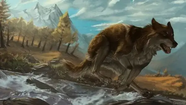 Cấu Trúc Xương Và Cơ Bắp Phù Hợp Với Di Chuyển Trên Tuyết