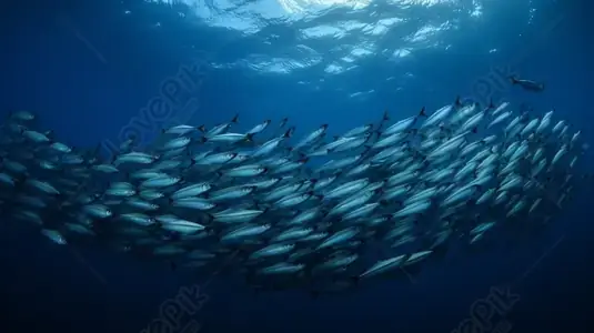 Hình Ảnh Đàn Cá Bơi Lội: Ý Nghĩa, Khoa Học Và Nghệ Thuật ...