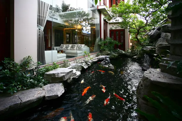 Hồ Cá Koi Biệt Thự Đẹp