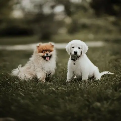 Ảnh Hưởng Đến Tâm Lý Và Cộng Đồng