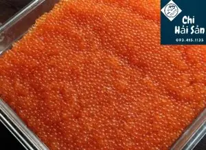 20201023_142401-300x218-1 20201023_142401-300x218-1