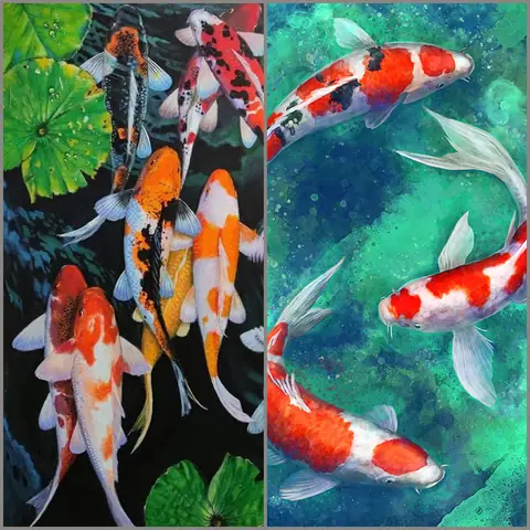 Cách Tải Hình Nền Cá Koi Cho Iphone