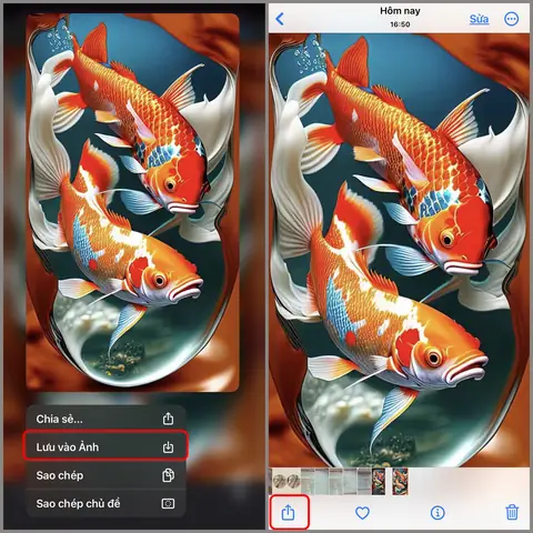 Cách Tải Hình Nền Cá Koi Cho Iphone Cách Tải Hình Nền Cá Koi Cho Iphone