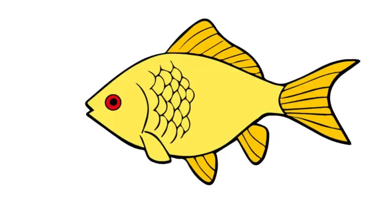 Hình Vẽ Cá Chép Đẹp Nhất