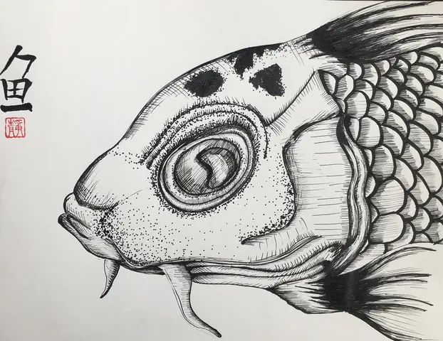 Hình Vẽ Cá Chép Đẹp Nhất