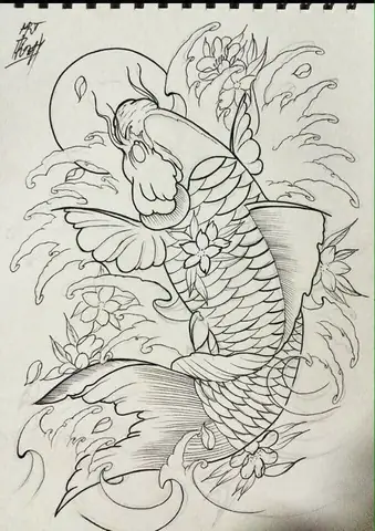 Hình Vẽ Cá Chép Đẹp Nhất