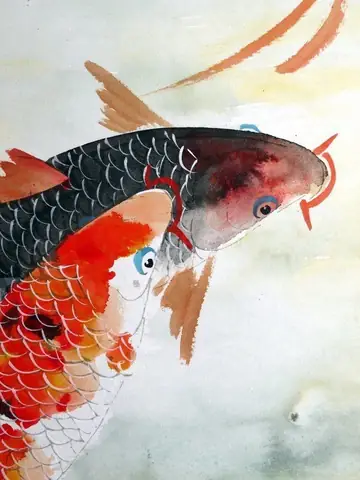 Hình Vẽ Cá Chép Đẹp Nhất