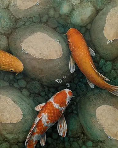 Hình Vẽ Cá Chép Đẹp Nhất