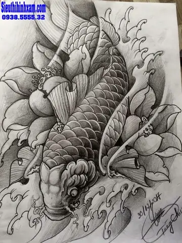 Hình Vẽ Cá Chép Hoa Sen: Ý Nghĩa Phong Thủy Và Cảm Hứng Nghệ Thuật