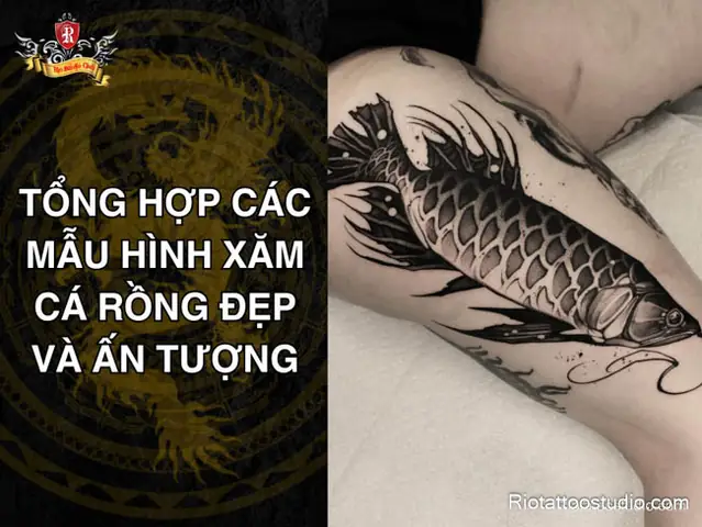 200+ Mẫu Hình Xăm Cá Rồng Độc Đáo - Nghệ Thuật Nhất 2025 200+ Mẫu Hình Xăm Cá Rồng Độc Đáo - Nghệ Thuật Nhất 2025