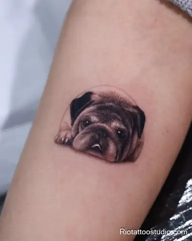 Hình Xăm Mini Chó Pug Biểu Cảm Ngộ Nghĩnh, Đáng Yêu