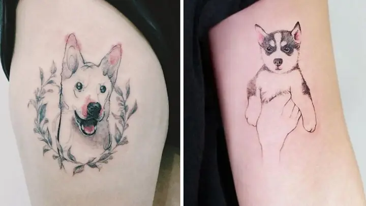 Tổng Hợp Các Hình Xăm Con Chó Đẹp, Ý Nghĩa Nhất 2023