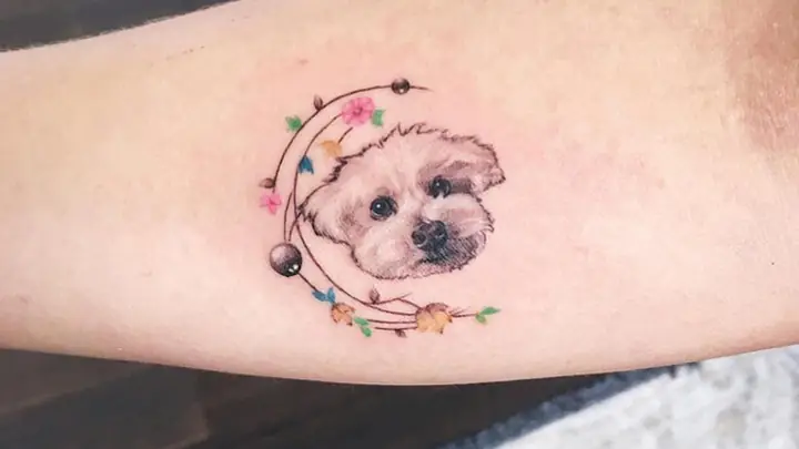 Hình Xăm Con Chó Hợp Với Tuổi Nào?