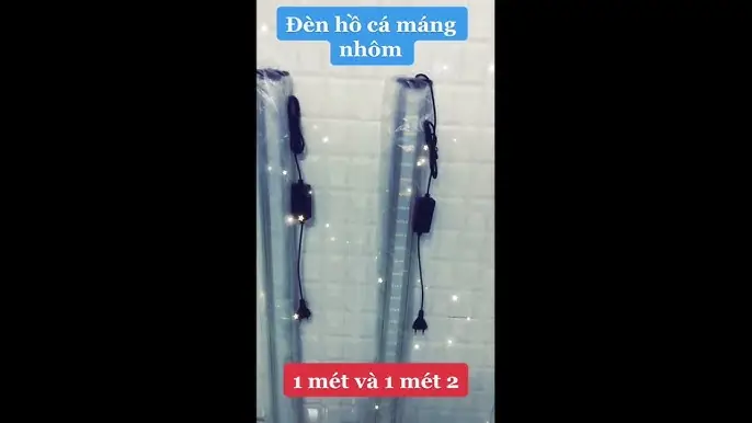 Hồ Cá 1 Mét: Hướng Dẫn Thiết Kế, Lựa Chọn Và Chăm Sóc Chi Tiết