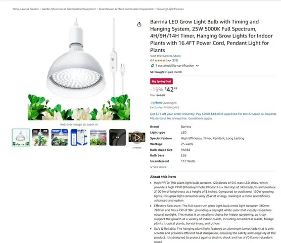 Hồ Cá 1 Mét: Hướng Dẫn Thiết Kế, Lựa Chọn Và Chăm Sóc Chi Tiết