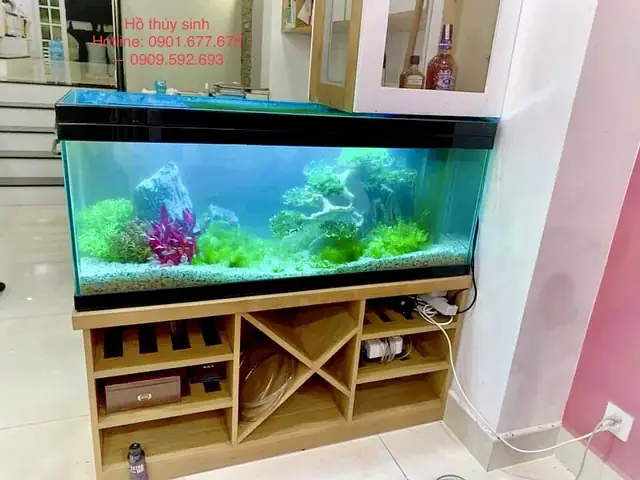 Ho-ca-thuy-sinh-21 Ho-ca-thuy-sinh-21