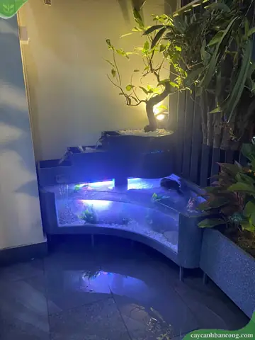 Bể Cá Ban Công Uốn Cong Siêu Đẹp