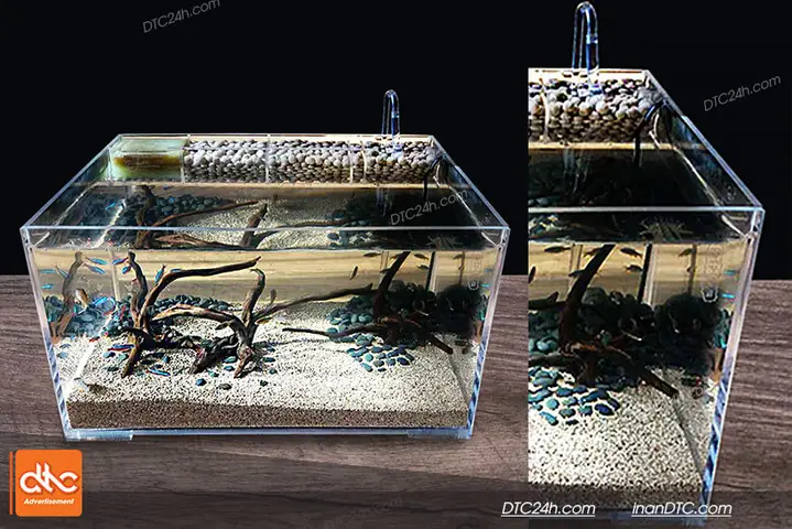 Bể Cá Mica Là Gì?