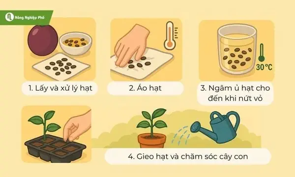 Cách Trồng Chanh Dây Bằng Hạt Cách Trồng Chanh Dây Bằng Hạt