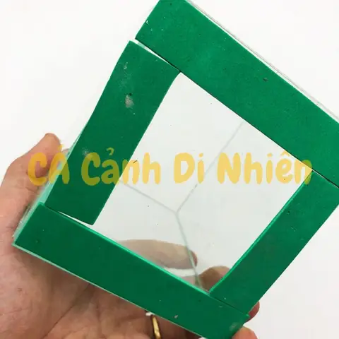 Hồ Bể Kính Mini Để Bàn Nuôi Cá Betta Dày 3 Li Size 14x 12x11 Cm