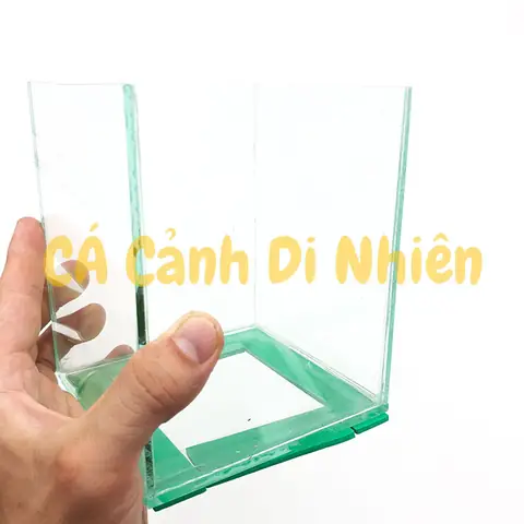 Hồ Bể Kính Mini Để Bàn Nuôi Cá Betta Dày 3 Li Size 14x 12x11 Cm