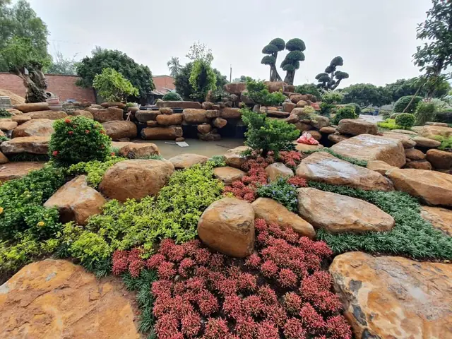 Đá Trang Trí Sân Vườn Bình Dương
