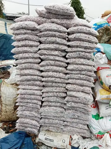 Sỏi Đá Bình Dương